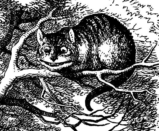 cat04